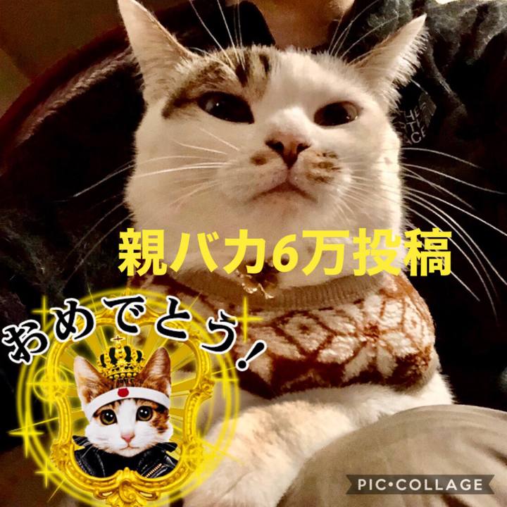 29127025 c6e9 4159 a9e9 ebdc275373cb 1580386371098
