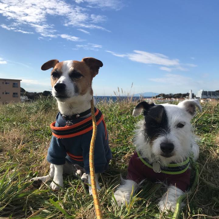 29127c0c c591 4a3e b782 40becc700759 1543974980876