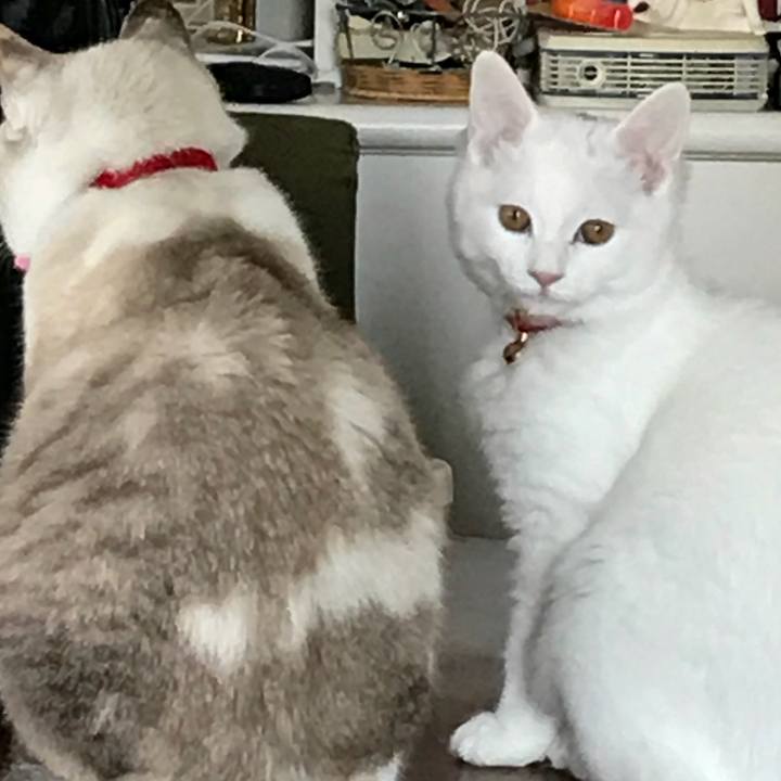 29127cbd ca12 4442 94db 87c6bb3e5969 1511512942670