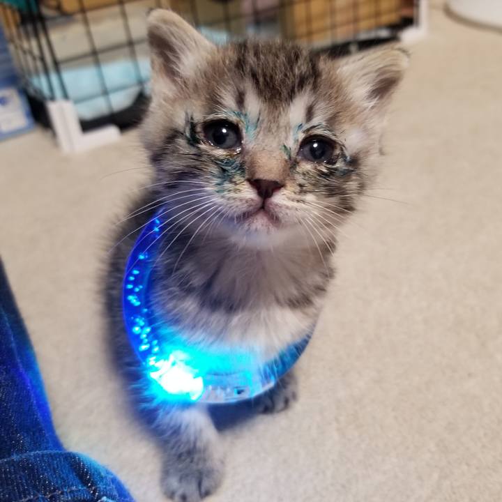 29129440 c8ac 406d 85b1 b50c266bf95c 1660569812301