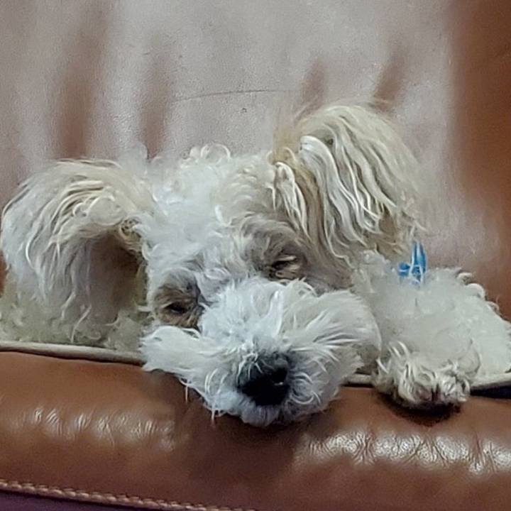 2912d611 fb0f 4bd6 85fb 319e0388c081 1600401623489