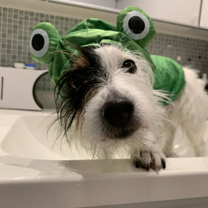 2912ed05 a940 424d a349 c4f8c6ab3484 1648947121826