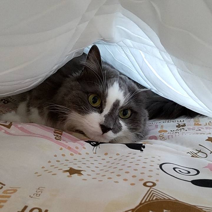 29130e41 d4e4 44ee 9850 9961e72d6667 1655029092389