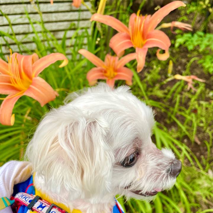 2913161c eb34 4357 9cb1 146859c1b374 1626060565566