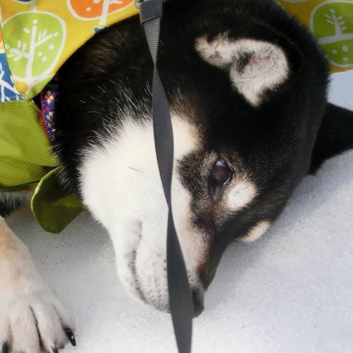 291326db d01b 4a29 8c91 b64e50a21d6c 1517542896365