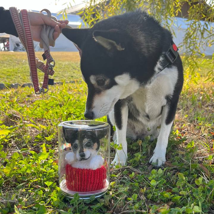 29135a2c 2afe 4ee0 b617 e6fcdf18e18d 1637400899474