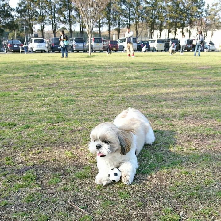 29135f36 b882 4a67 9af5 22b269aa193e 1521967438316