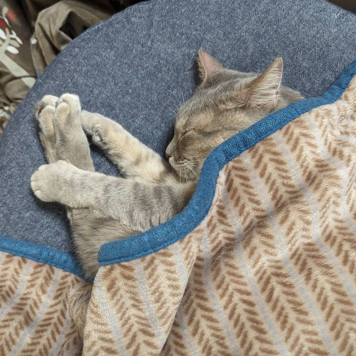 291364d5 2f7e 493a 9b95 3cdcba1025ca 1713933970116