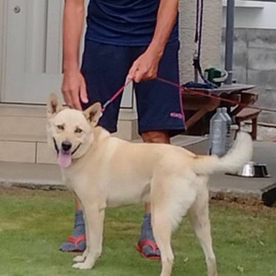 291368fb 8c40 4eab 8714 005cd9d71b92 1622770693634