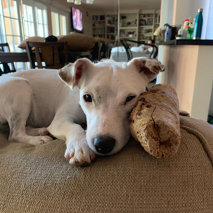 2913b214 9fab 4f65 8a5a fca53caee4fe 1553563930290