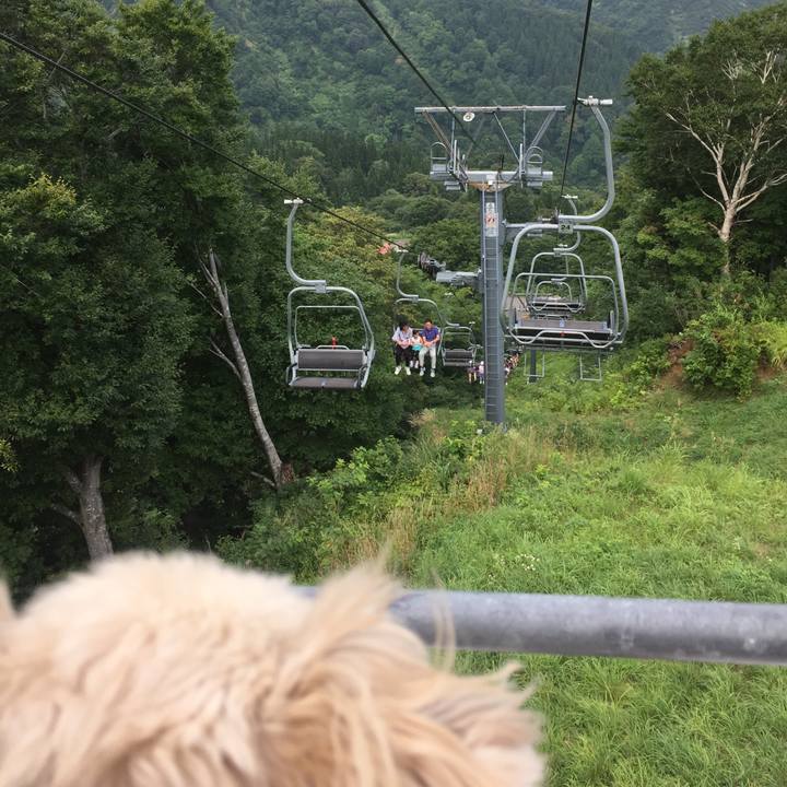 2913d79e 0068 407b 84c9 9e6108354bed 1566812001685