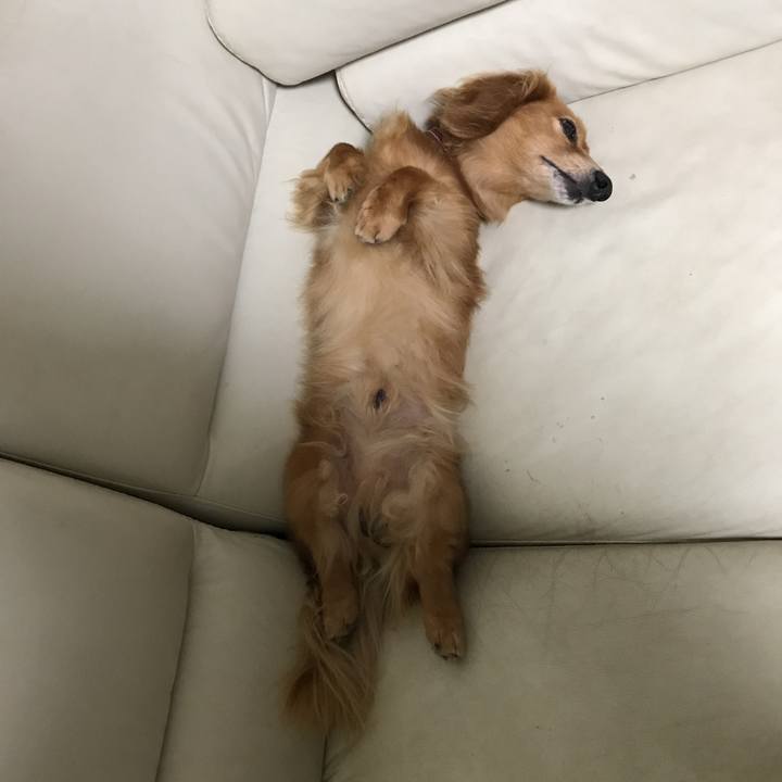 2913e75b 813f 450a 9c8a da536f833f7d 1537099747825