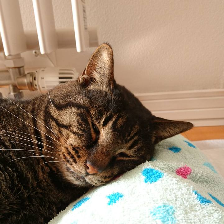 2913fa86 4018 461c 89bf e76cf03d25f7 1549200954139