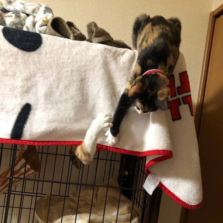 29146381 4bbc 4932 b3e5 52d6b03181a4 1576835812992