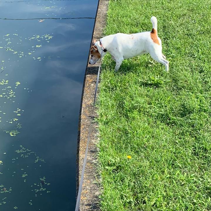 29147189 51c6 459a b511 ea66e9d194df 1592695458669