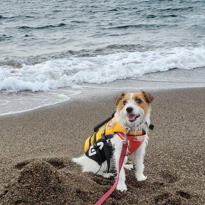 29149e7a cd0d 403e a2f6 23fd9874a860 1598132064935