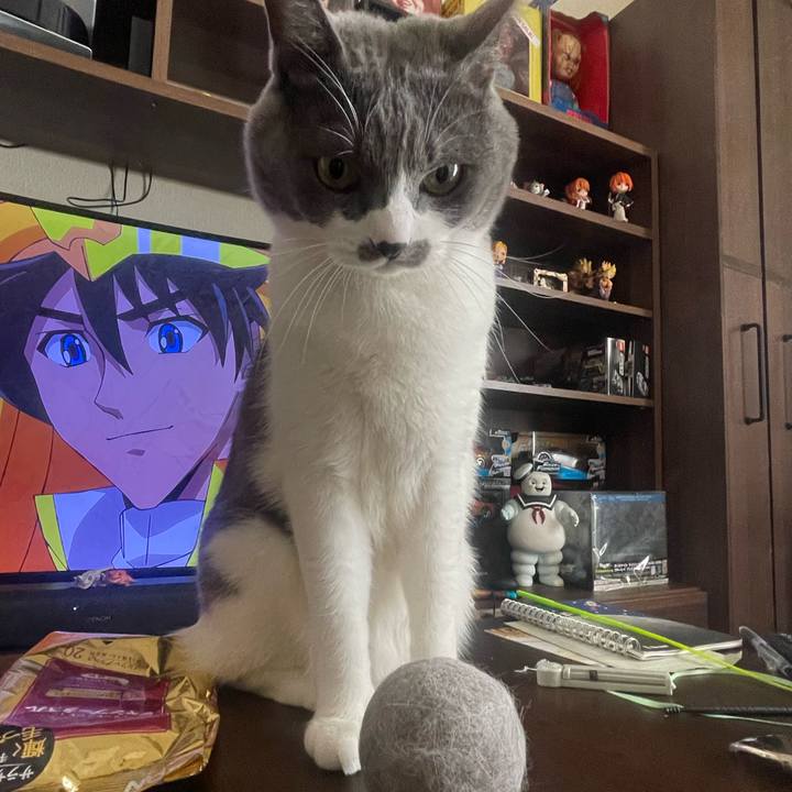 2914b93d c734 43e0 99bd 9f7e6e273428 1701562373612