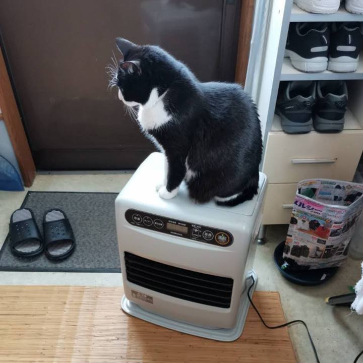 2914c8cd d107 46ed 8984 2c14949e110d 1706066846781