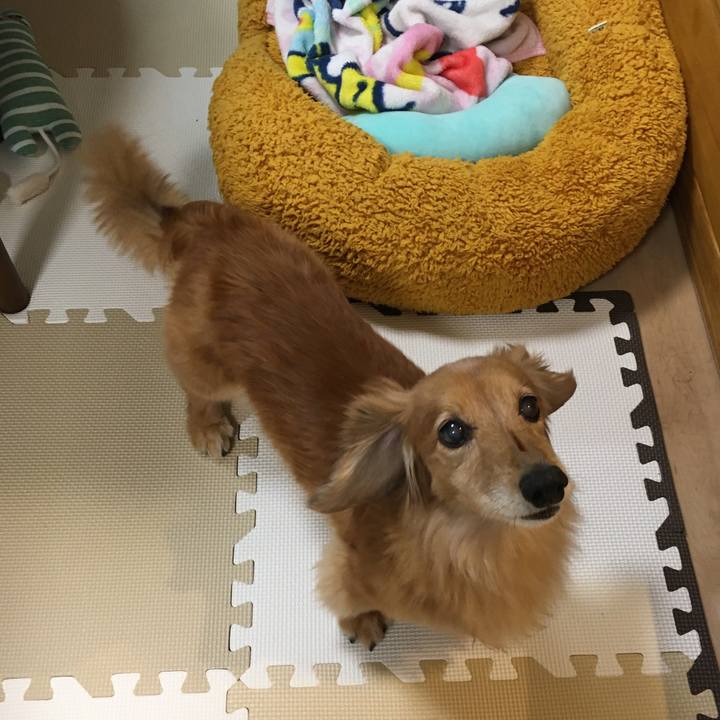 2914d4de 6d5f 456b 9480 17978a9dffb4 1636464900523