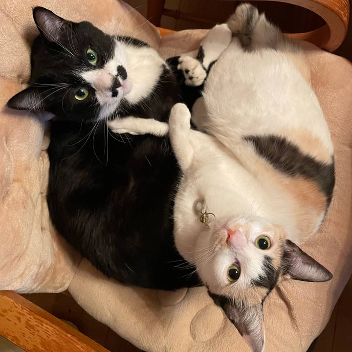 2914ff93 1cc4 4061 8cdc f19388095ab6 1680526626067