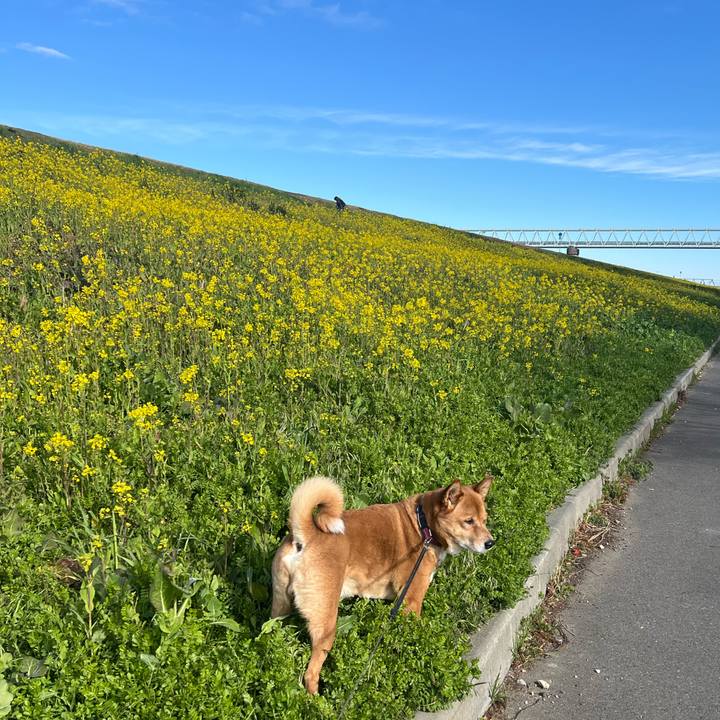 29154149 b46b 4618 8f18 ffbe6fd43766 1709343411908