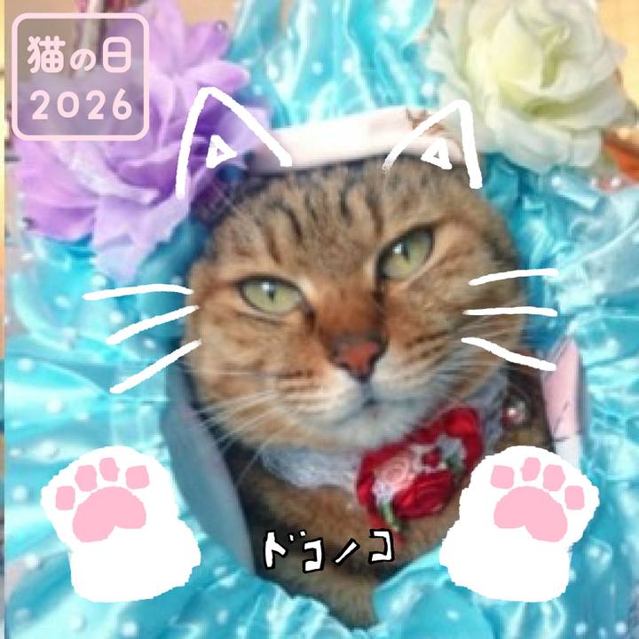 291545b9 3733 478a 8e44 4d2d945cef65 1771713958789