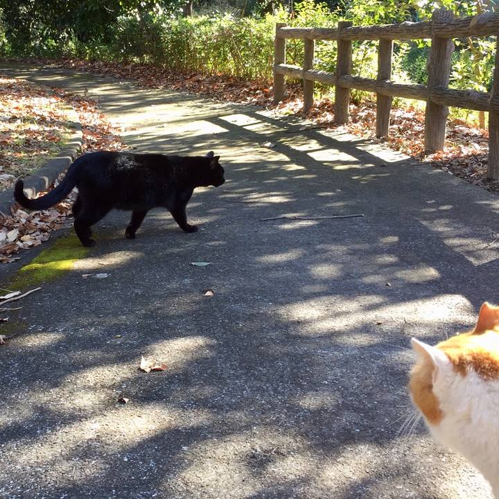 29154ac2 4d17 4b0b 83de 751f7d1f3405 1549094905636