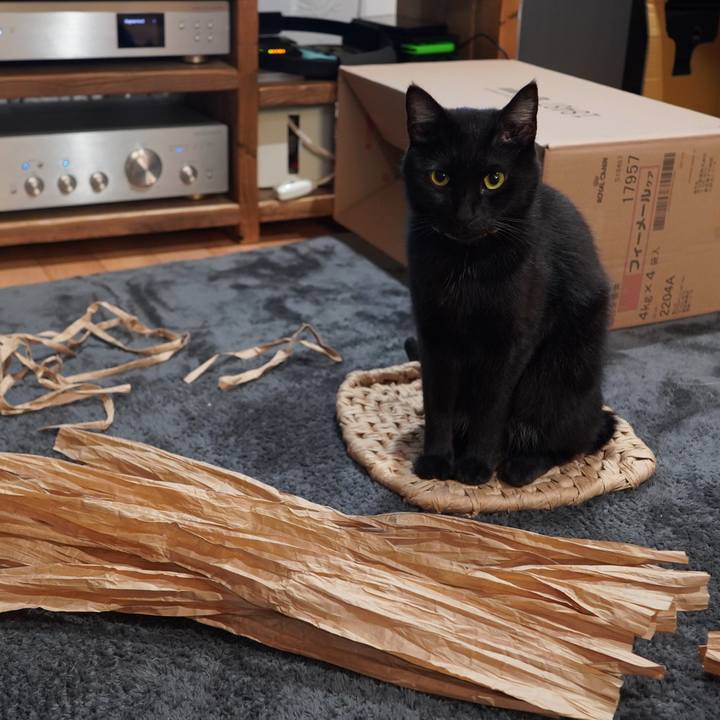 2915d783 01f4 4588 a119 d1f85f9b84ea 1614434997310