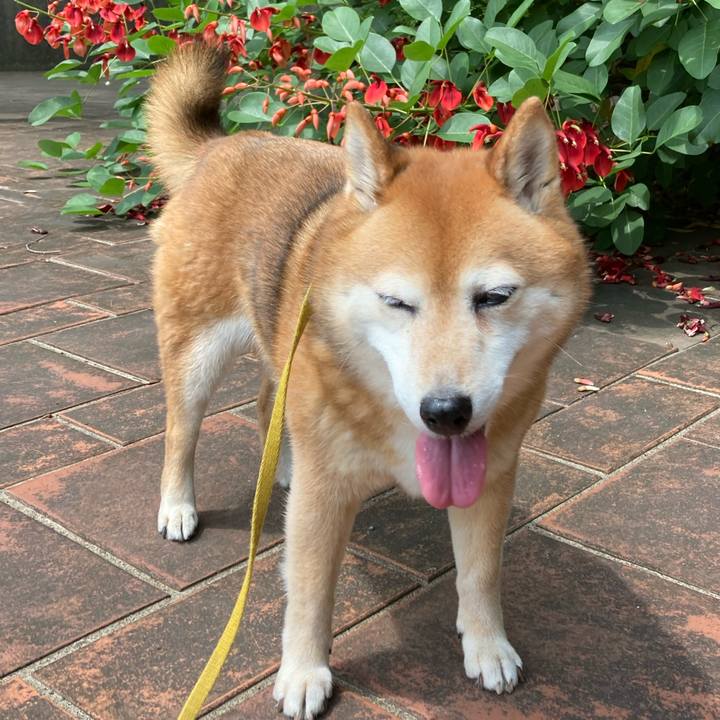 2915dbac 6052 4bf5 a261 de9abfdb37ba 1655709161912