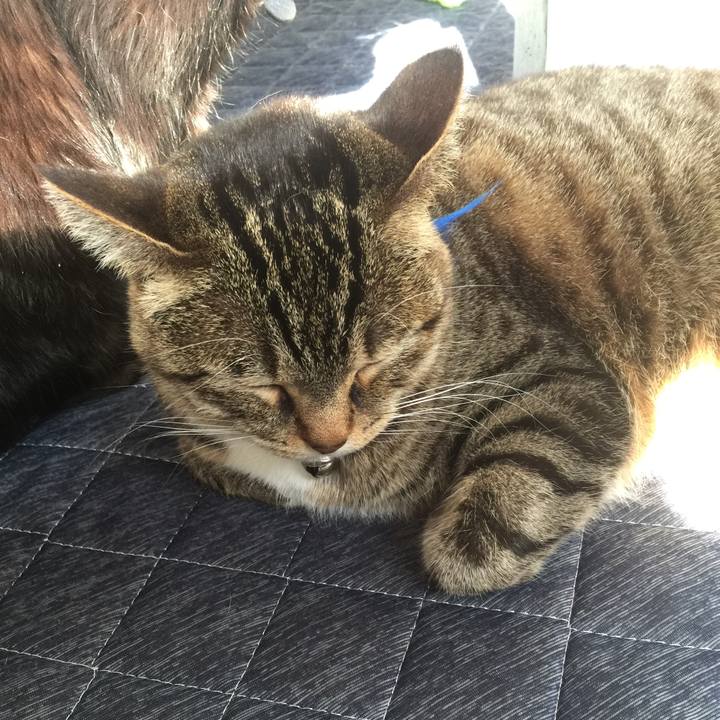 29160a44 655d 461f bf1d 2e0700a10caf 1549513159783