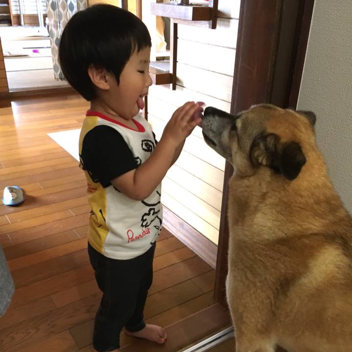 29163017 f768 4fd2 9df4 440770d61357 1528340407565