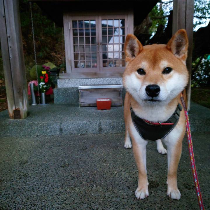 291644e2 305f 44b1 b9b4 b43e787d6581 1767096861335