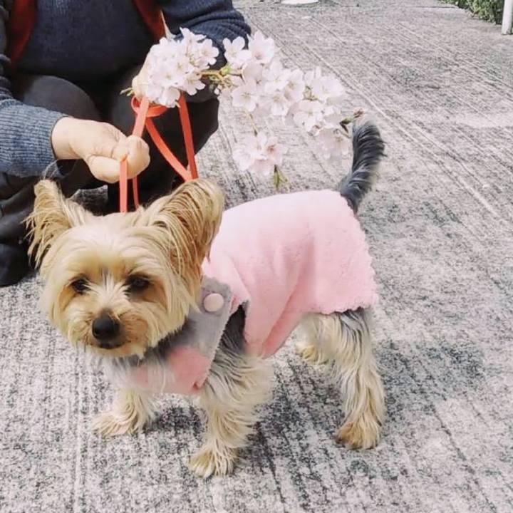 291663c9 722a 44f2 b23e 64f3f4acb4d5 1648798312085