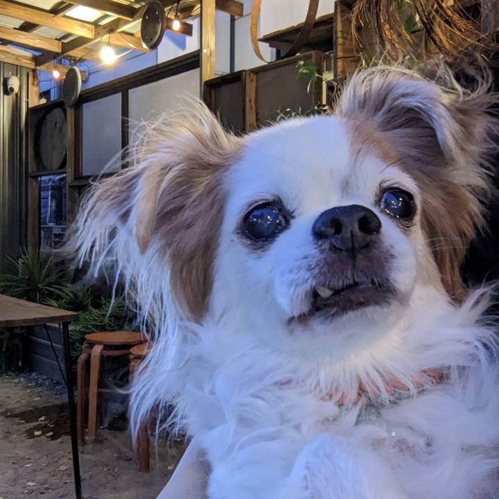 2916ab5e 6e93 4813 8e34 86678f27a9a7 1681896803465