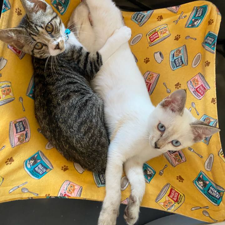 2916b1af 9934 47dc af0f 128b4cd5101f 1628944502261