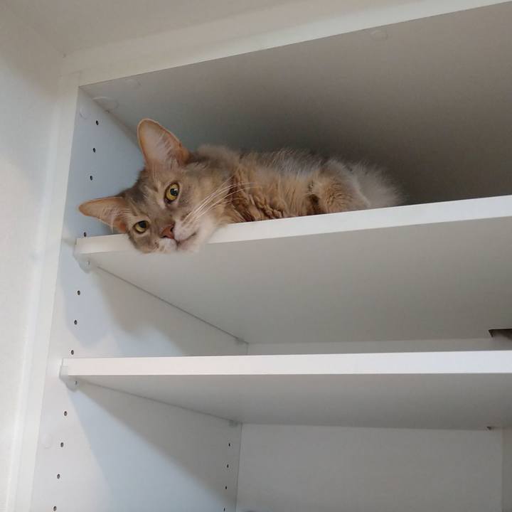 2916c00d 9d9f 4e23 813c 7557975e3fb3 1626012650640