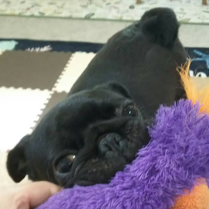 2916e9b3 1957 4682 aa76 4f17657ce826 1529538992395