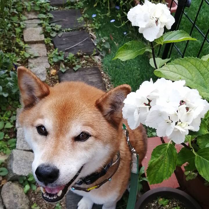 2916edfc fecd 4399 aa57 1077a49a1e09 1685615618442