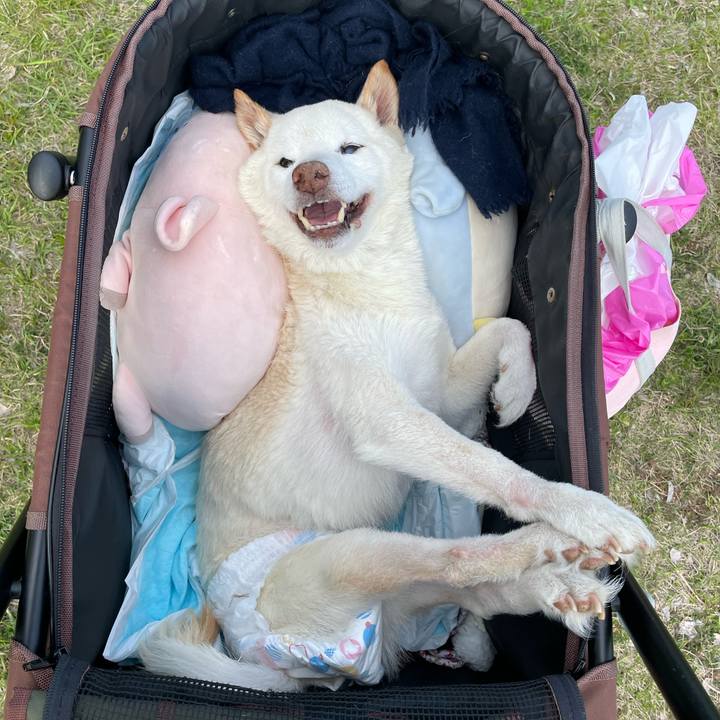 29172a29 76cd 4ad1 8e61 9f057cedc3c8 1680604633706