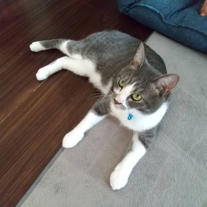 291732c9 915b 4adc 91e3 a7cf38e79a90 1598400575969