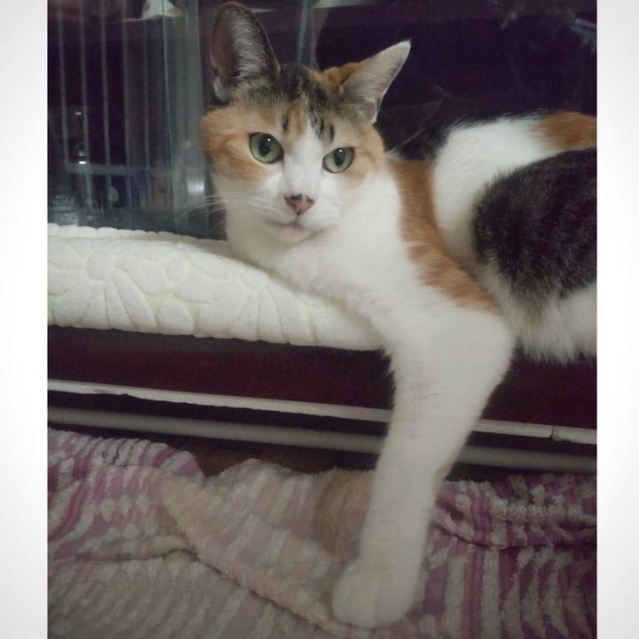 291732f0 0064 436d a7d0 2980847c0a17 1735427782935