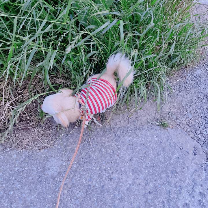 2917371c 7094 4818 9094 8738ca363542 1683283141290