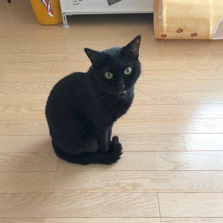 29179fe6 390e 4c28 9fd7 ea1f1f1c5dd9 1584838350119