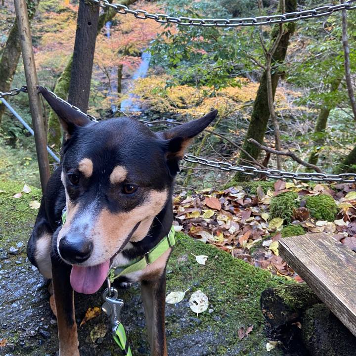 2917a04b 66c6 4c8b 8edb 9728cecf4bbb 1605179227944