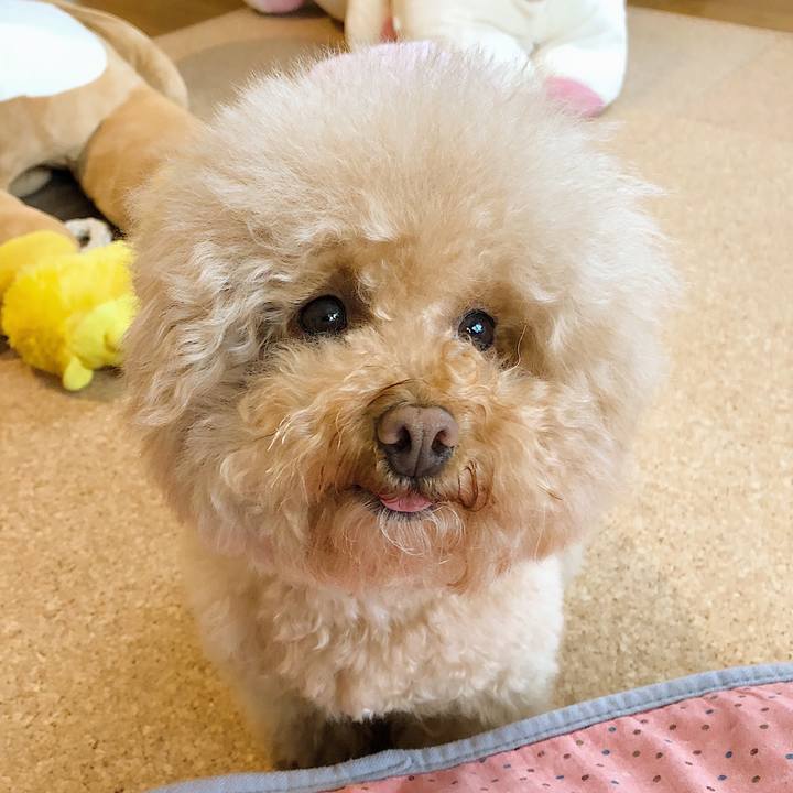 2917d38e 0273 460d b2cf 9ef3de73733f 1524721083237