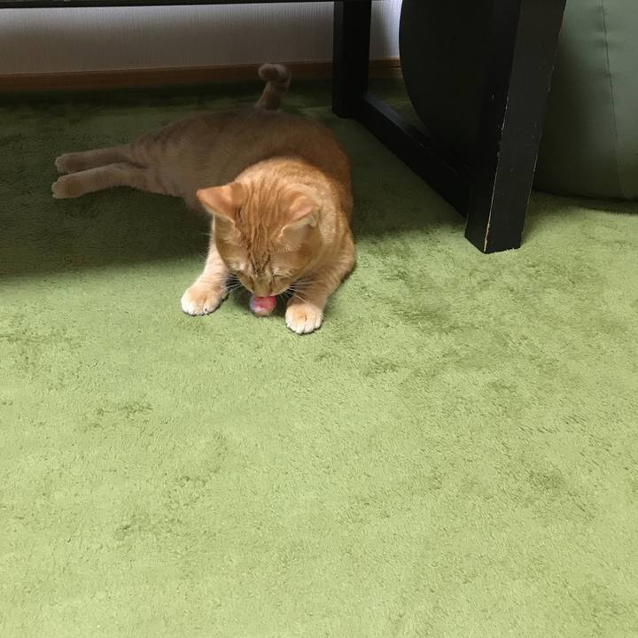 2917fa7b 9058 4bc4 87cf 6a838123411d 1509376933393