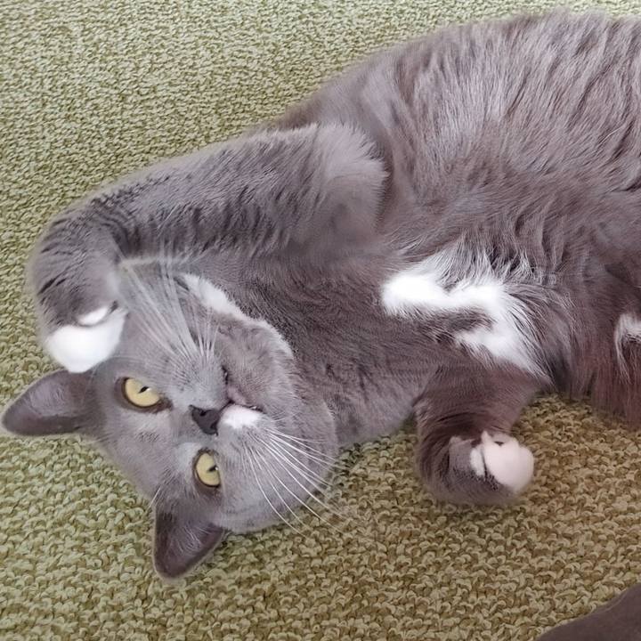 29180186 d943 4303 8922 0852582e4049 1637809178861