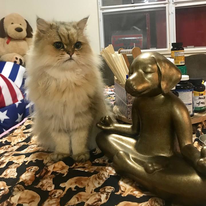 29182615 2c14 442c 9ac4 9f6ce15fe9f8 1538121804305