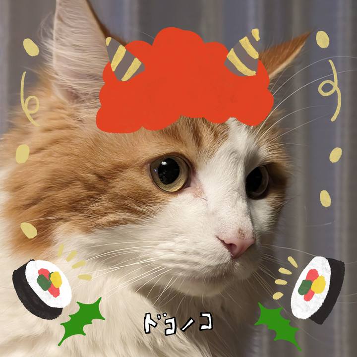 2918302d a50c 43aa 84a7 df62d5d6c25f 1706803815583