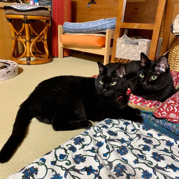 2918436f 925e 41f8 922f 5841f8825ef7 1600783827514